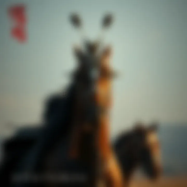 Magnificent 해축 일정의 전반적 탐색