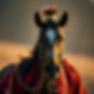 Magnificent 하이토토의 모든 것 Magnificent 하이토토의 모든 것