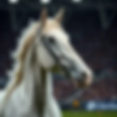 Magnificent n파워볼 3분 Magnificent n파워볼 3분
