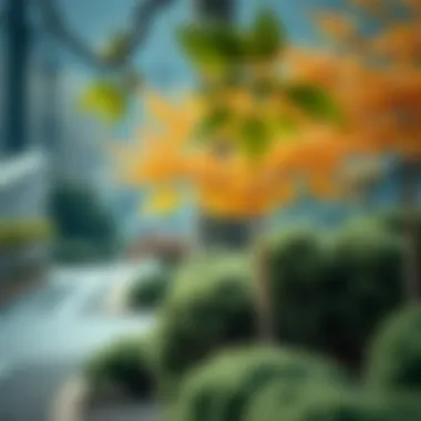 Seasonal changes in Gyeongju's flora and fauna