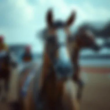 Historical significance of horse racing