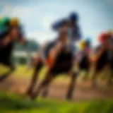 Conceptual representation of horse racing fundamentals