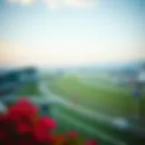 A panoramic view of the racecourse at LetsRun Park, showcasing the excitement of horse racing.