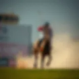 로또통: 복권과 베팅의 심층 탐구 Introduction