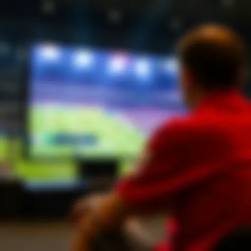 Spectacular sporting event viewed on a high-definition screen