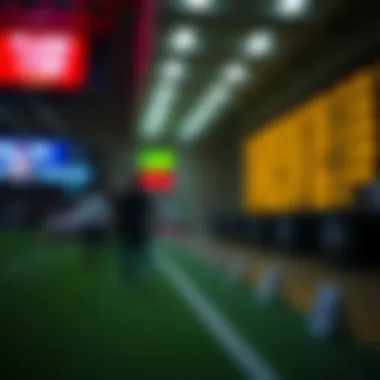 Influence of numbers on decision-making